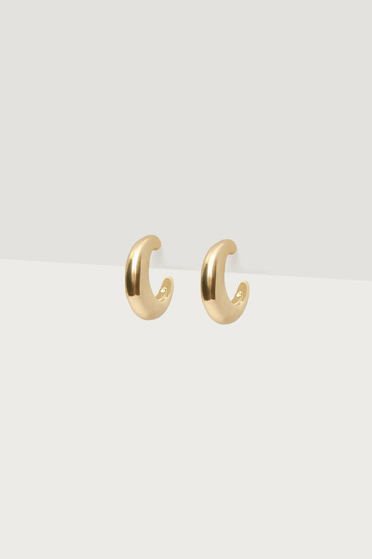 Huggy Hoop Earrings