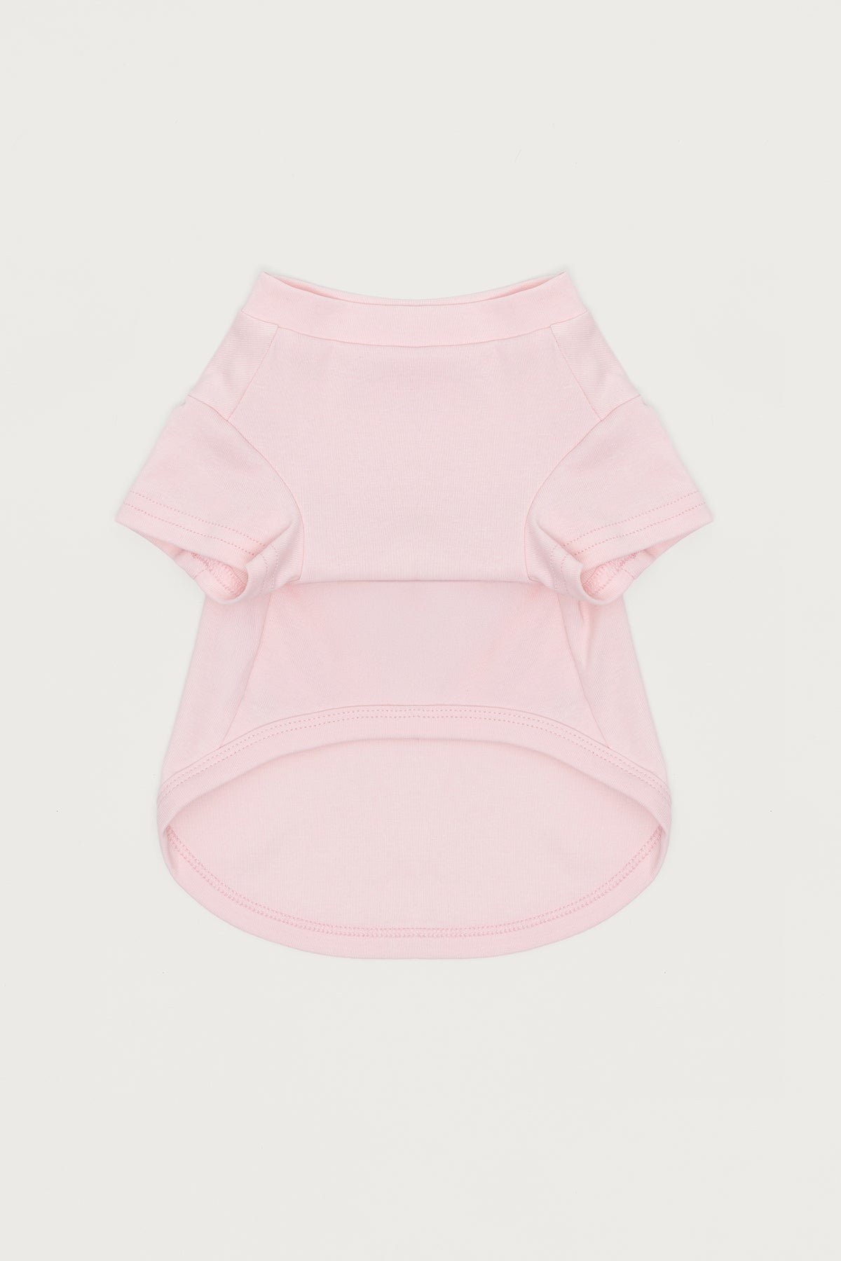 Daylily Pet T Shirt