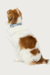 BLUE-AND-WHITE