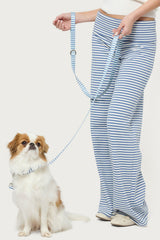 BLUE-AND-WHITE