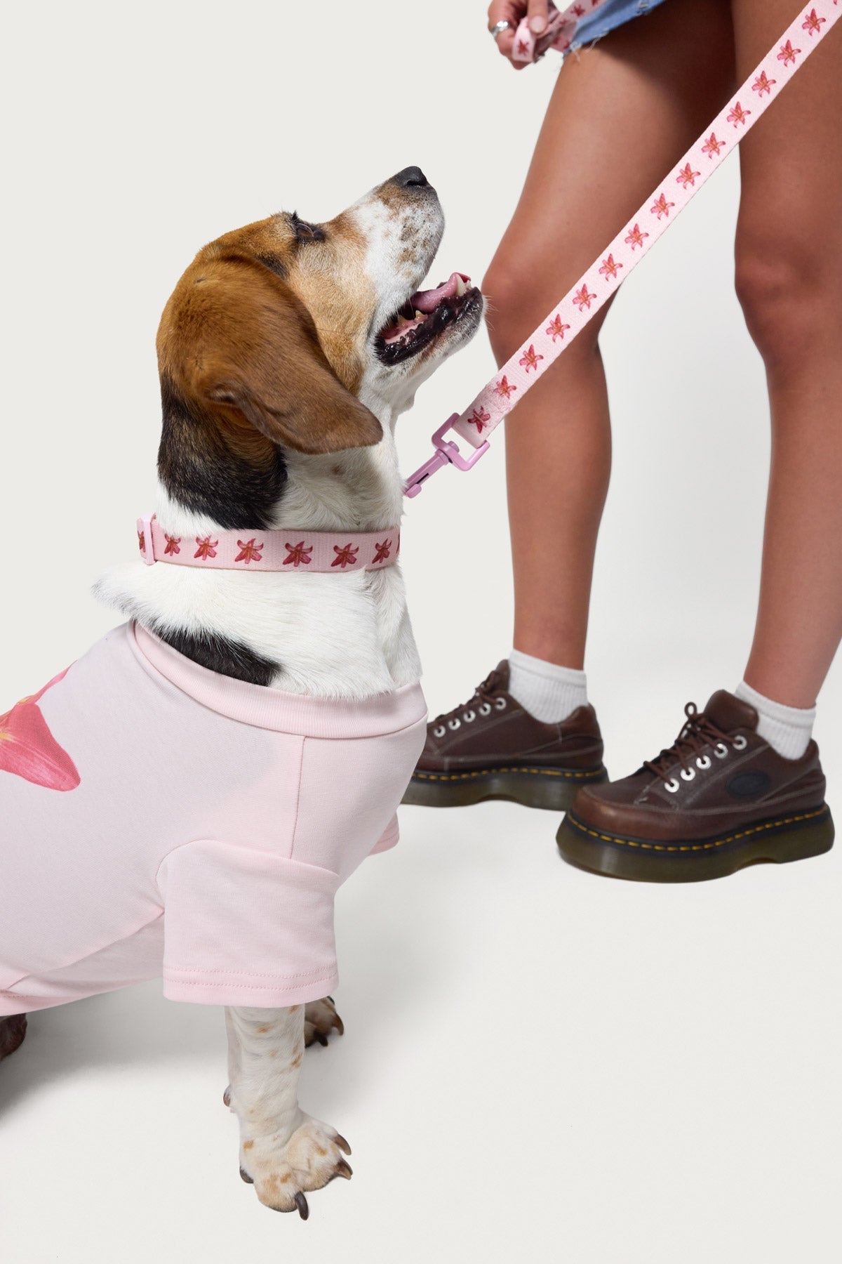 Daylily Pet Leash